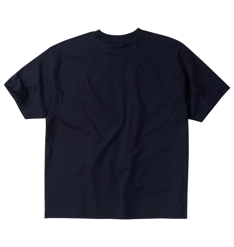 大きいサイズ メンズ OCEAN PACIFIC (オーシャンパシフィック) PEARTEX UV半袖Tシャツ バックスタイル