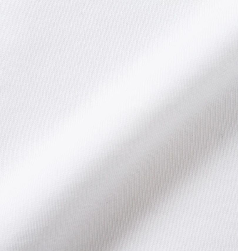 大きいサイズ メンズ LOGOS Park (ロゴスパーク) リサイクル天竺ワンポイント刺繍半袖Tシャツ 生地拡大