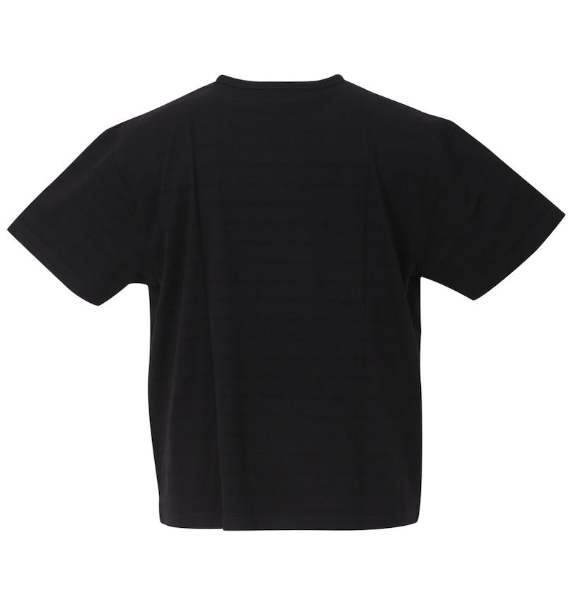 大きいサイズ メンズ Mc.S.P (エムシーエスピー) タックボーダーフェイクレイヤードヘンリー半袖Tシャツ バックスタイル