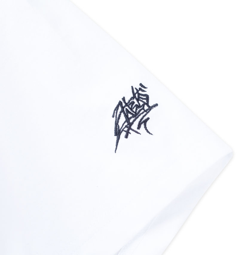 大きいサイズ メンズ DCSHOES (ディーシーシューズ) 24 TAKEEE8 GRAFF FT半袖Tシャツ 袖刺繍