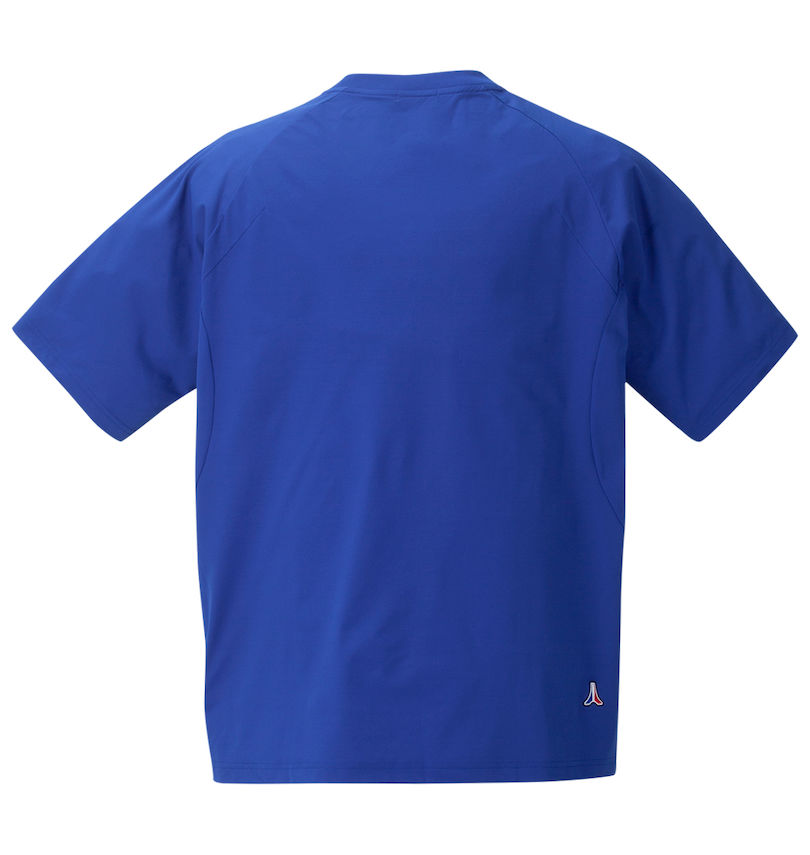 大きいサイズ メンズ LE COQ SPORTIF (ルコックスポルティフ) ヘランカサンスクリーン半袖Tシャツ バックスタイル