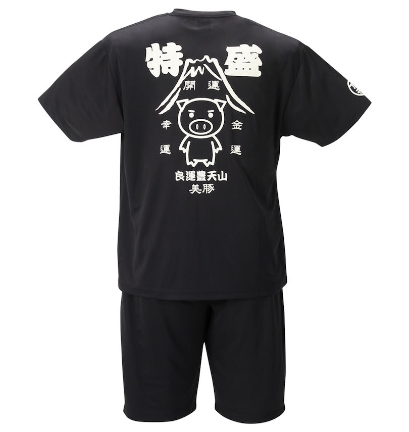 大きいサイズ メンズ 豊天 (ブーデン) 特盛美豚DRYハニカムメッシュ半袖Tシャツ+ハーフパンツ バックスタイル