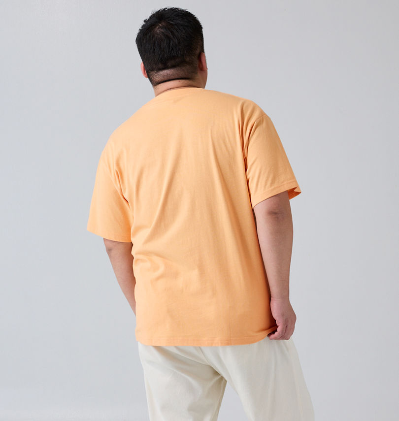 大きいサイズ メンズ VOLKSWAGEN (フォルクスワーゲン) 天竺半袖Tシャツ 
