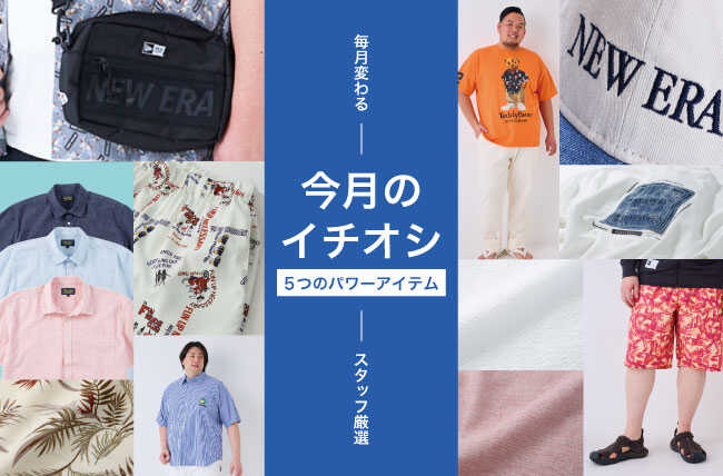 今月のイチオシ商品