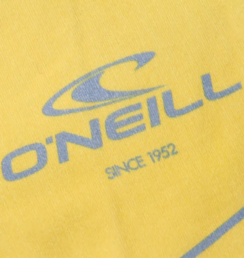 大きいサイズ 半袖Tシャツ | O'NEILL (オニール) | 大きいサイズの