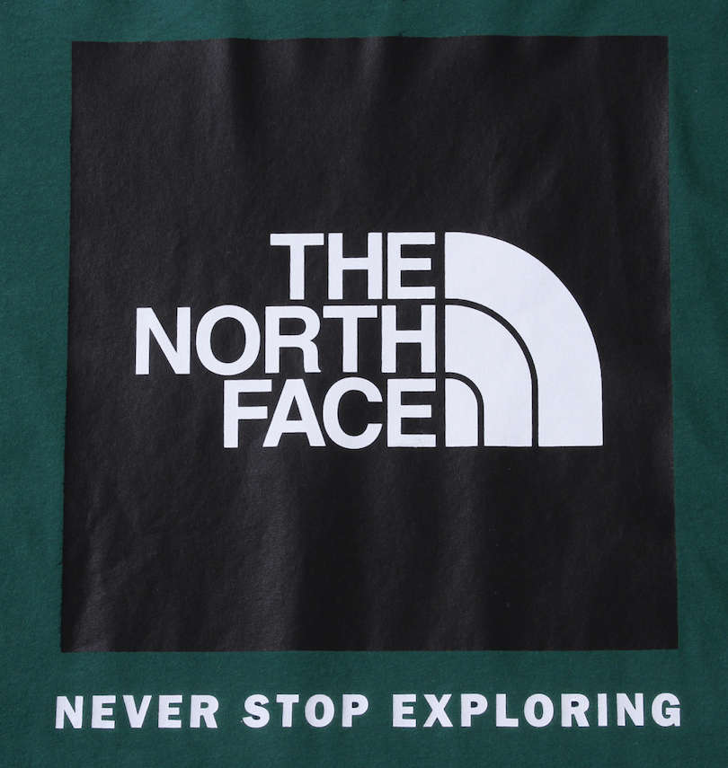 大きいサイズ メンズ THE NORTH FACE (ザ・ノース・フェイス) 長袖Tシャツ
                        