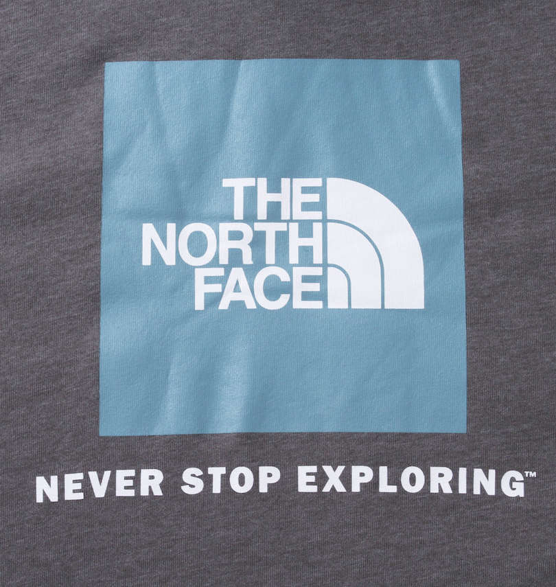 大きいサイズ メンズ THE NORTH FACE (ザ・ノース・フェイス) プルパーカー
                        バックプリント