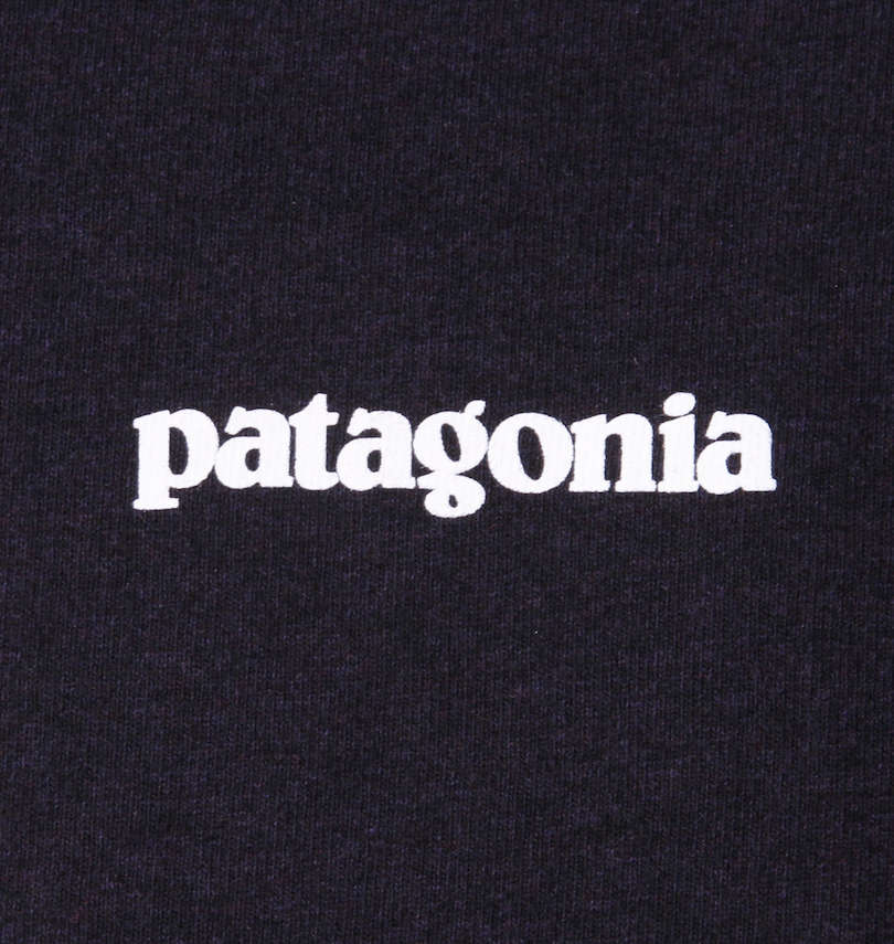 大きいサイズ メンズ PATAGONIA (パタゴニア) 半袖Tシャツ
                        フロントプリント