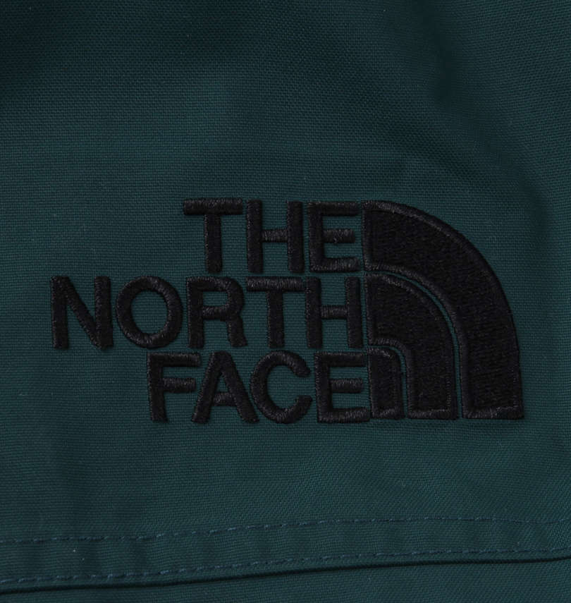 大きいサイズ メンズ THE NORTH FACE (ザ・ノース・フェイス) ダウンジャケット
                        刺繡