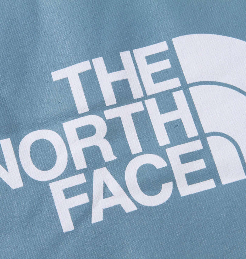 大きいサイズ メンズ THE NORTH FACE (ザ・ノース・フェイス) プルパーカー
                        プリント拡大