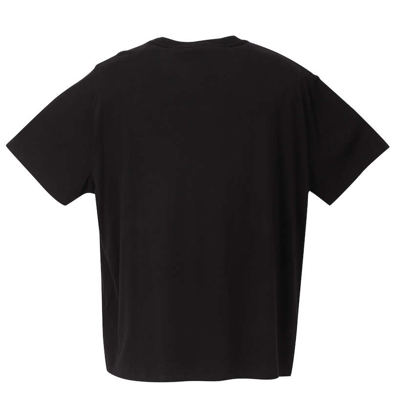 大きいサイズ メンズ RALPH LAUREN (ラルフローレン) 半袖Tシャツ
                        バックスタイル