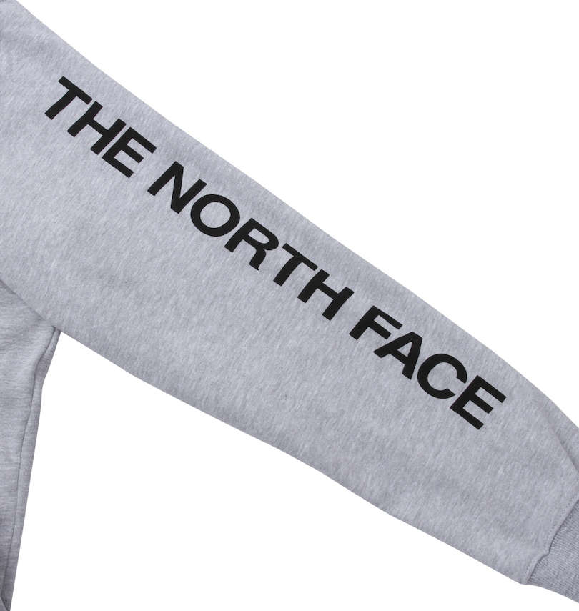 大きいサイズ メンズ THE NORTH FACE (ザ・ノース・フェイス) プルパーカー
                        袖のプリント