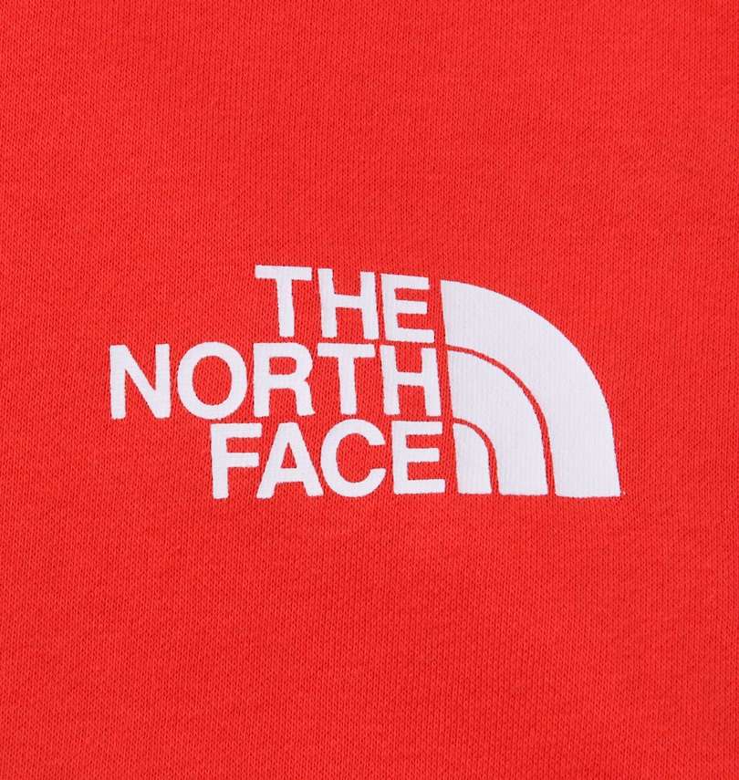 大きいサイズ メンズ THE NORTH FACE (ザ・ノース・フェイス) プルパーカー
                        胸プリント
