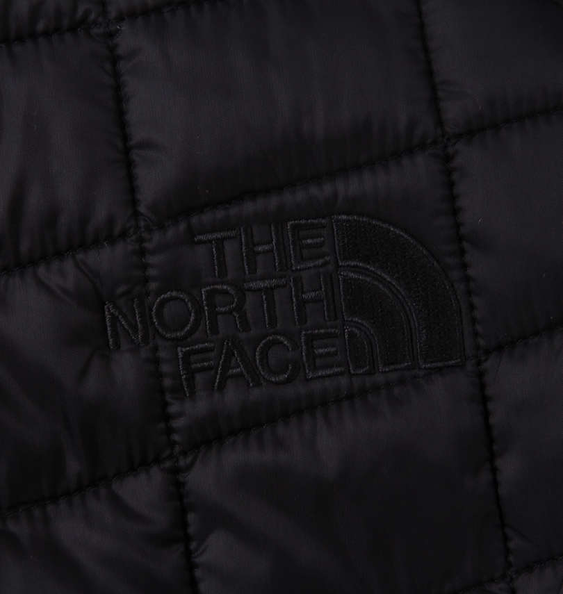 大きいサイズ メンズ THE NORTH FACE (ザ・ノース・フェイス) 3WAYジャケット
                        