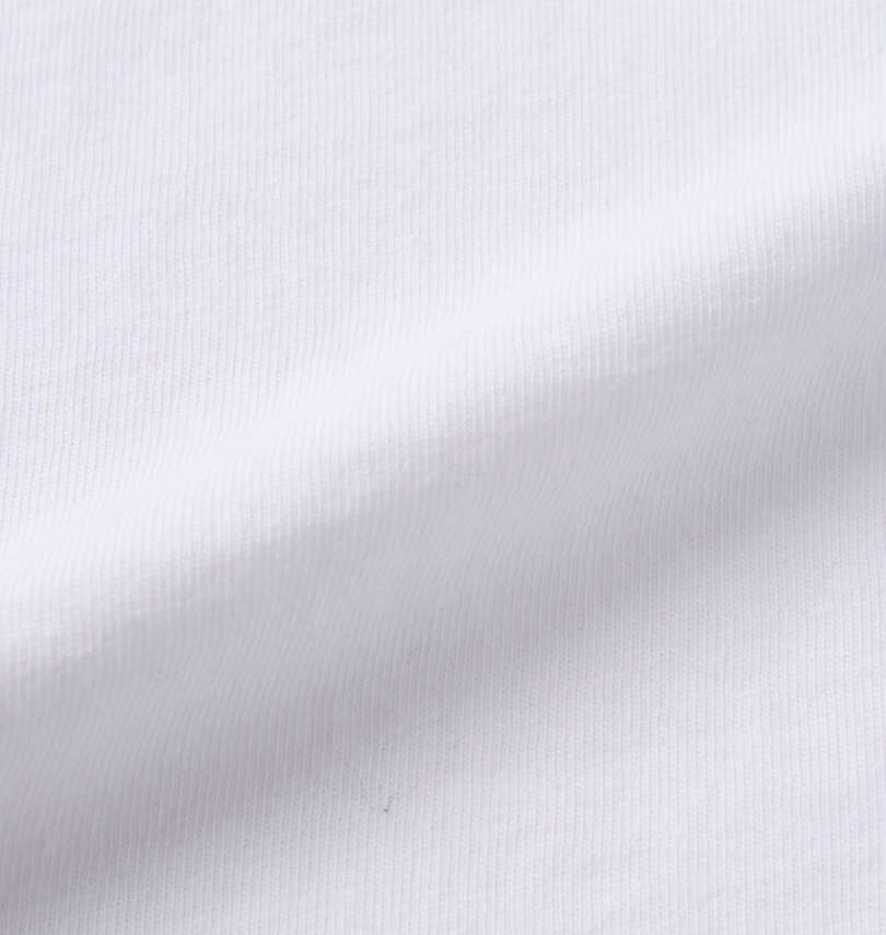 大きいサイズ メンズ RALPH LAUREN (ラルフローレン) 半袖Tシャツ
                        生地拡大