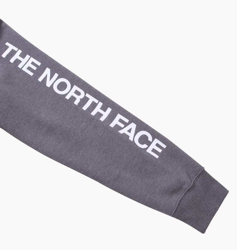 大きいサイズ メンズ THE NORTH FACE (ザ・ノース・フェイス) フルジップパーカー
                        右袖プリント