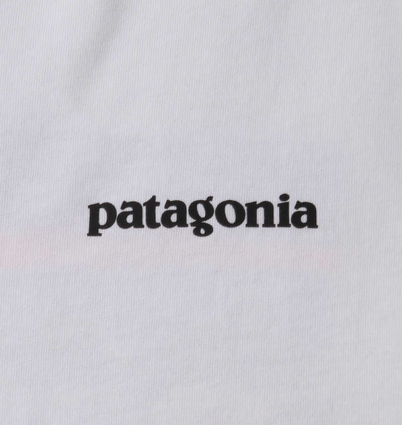 大きいサイズ メンズ PATAGONIA (パタゴニア) 半袖Tシャツ
                        フロントプリント