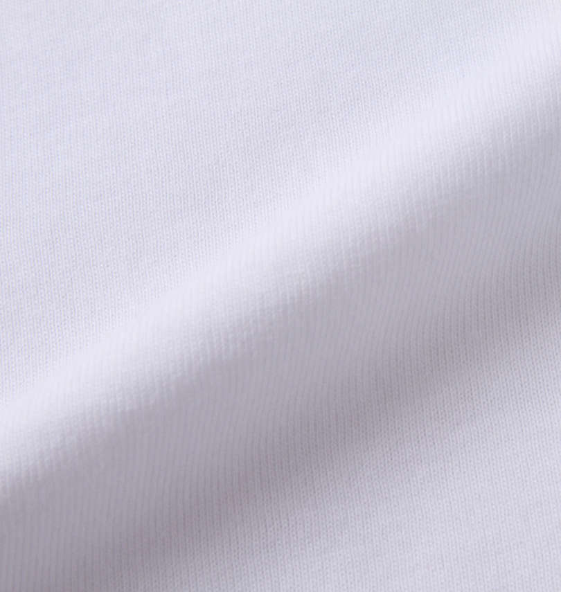 大きいサイズ メンズ RALPH LAUREN (ラルフローレン) 半袖Tシャツ
                        生地拡大