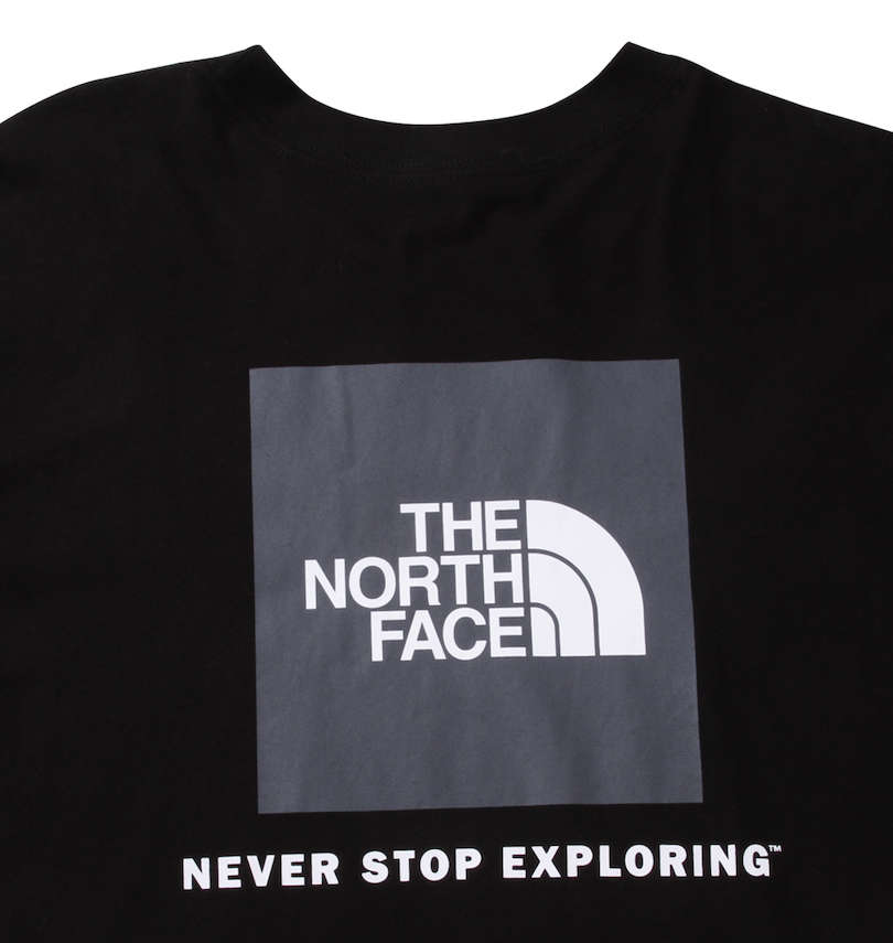 大きいサイズ メンズ THE NORTH FACE (ザ・ノース・フェイス) 長袖Tシャツ
                        バックプリント