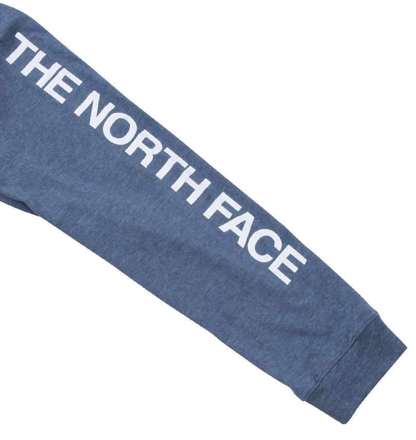 大きいサイズ メンズ THE NORTH FACE (ザ・ノース・フェイス) 長袖Tシャツ
                        右袖プリント