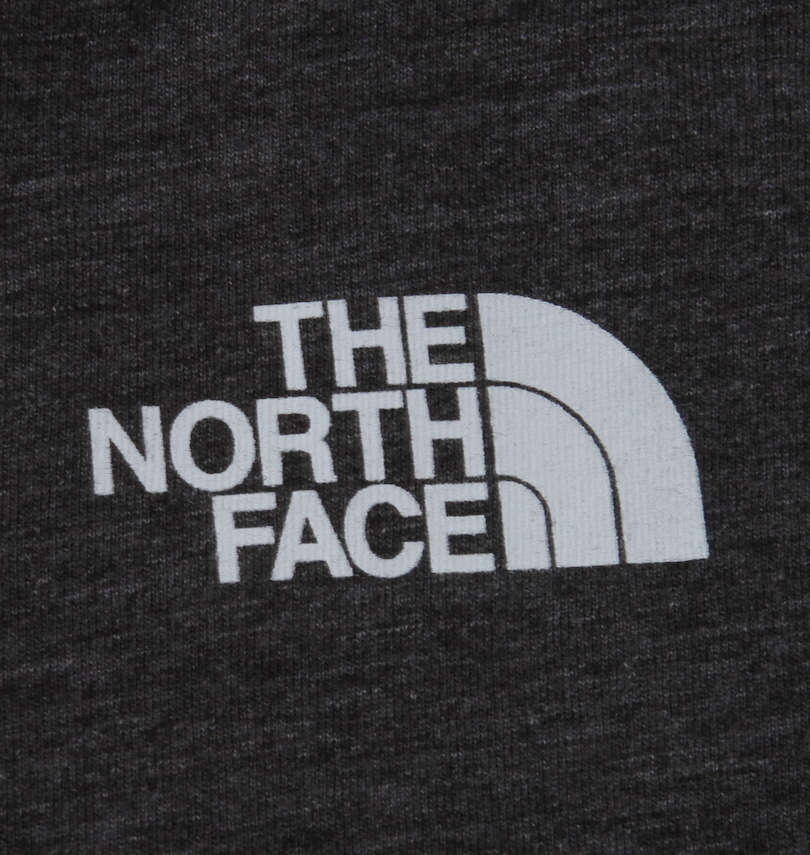 大きいサイズ メンズ THE NORTH FACE (ザ・ノース・フェイス) 半袖Tシャツ
                        バックプリント