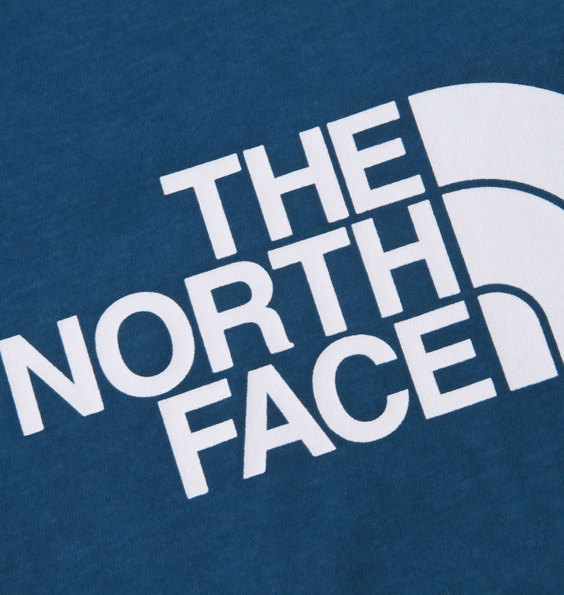大きいサイズ メンズ THE NORTH FACE (ザ・ノース・フェイス) 長袖Tシャツ
                        バックプリント拡大