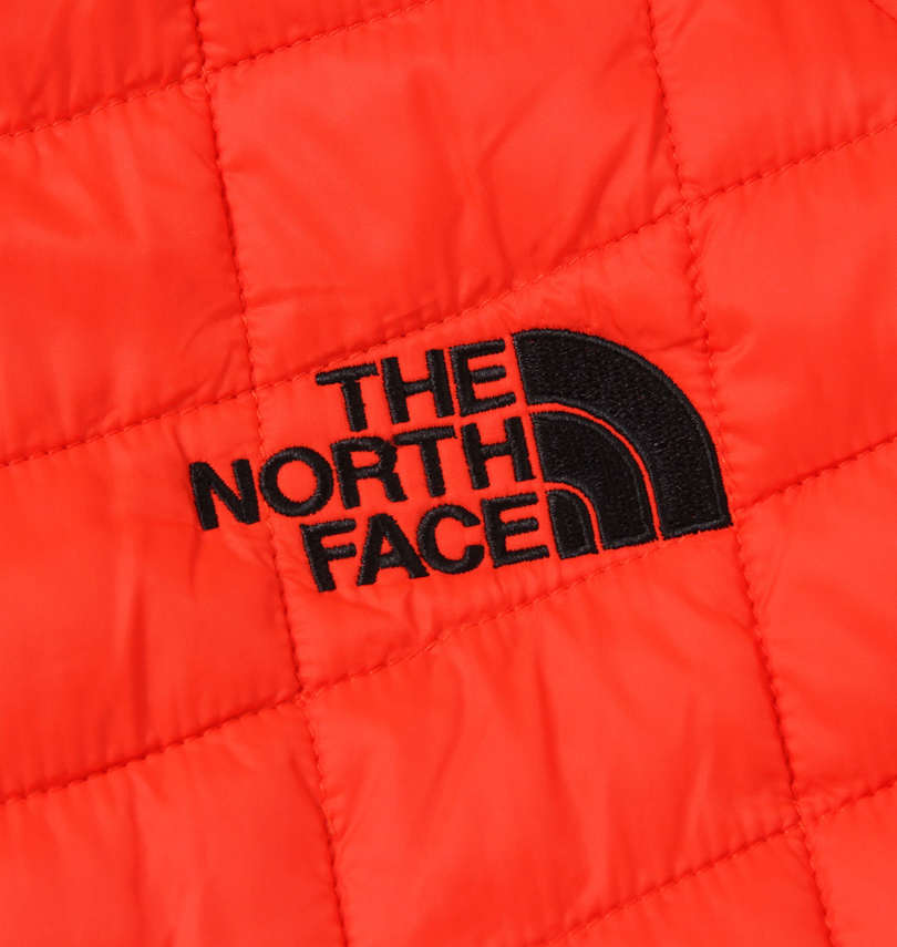 大きいサイズ メンズ THE NORTH FACE (ザ・ノース・フェイス) 3WAYジャケット
                        刺繡