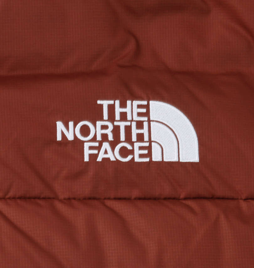 大きいサイズ メンズ THE NORTH FACE (ザ・ノース・フェイス) ダウンジャケット
                        刺繍