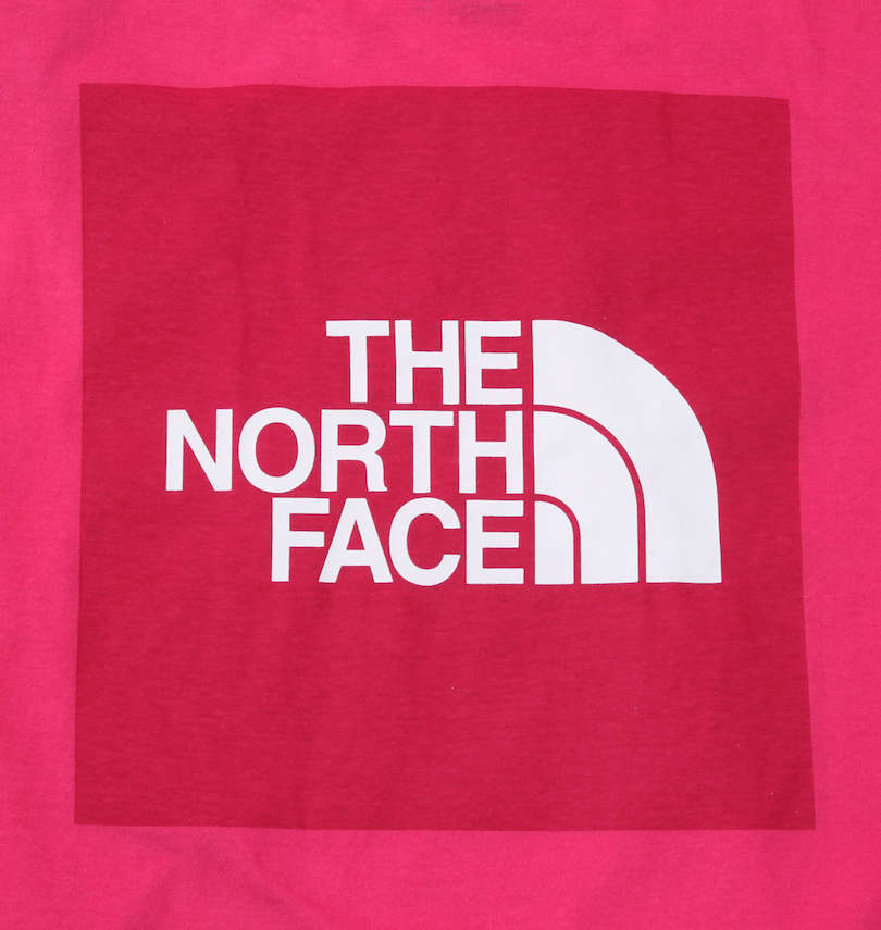 大きいサイズ メンズ THE NORTH FACE (ザ・ノース・フェイス) 半袖Tシャツ
                        バックプリント