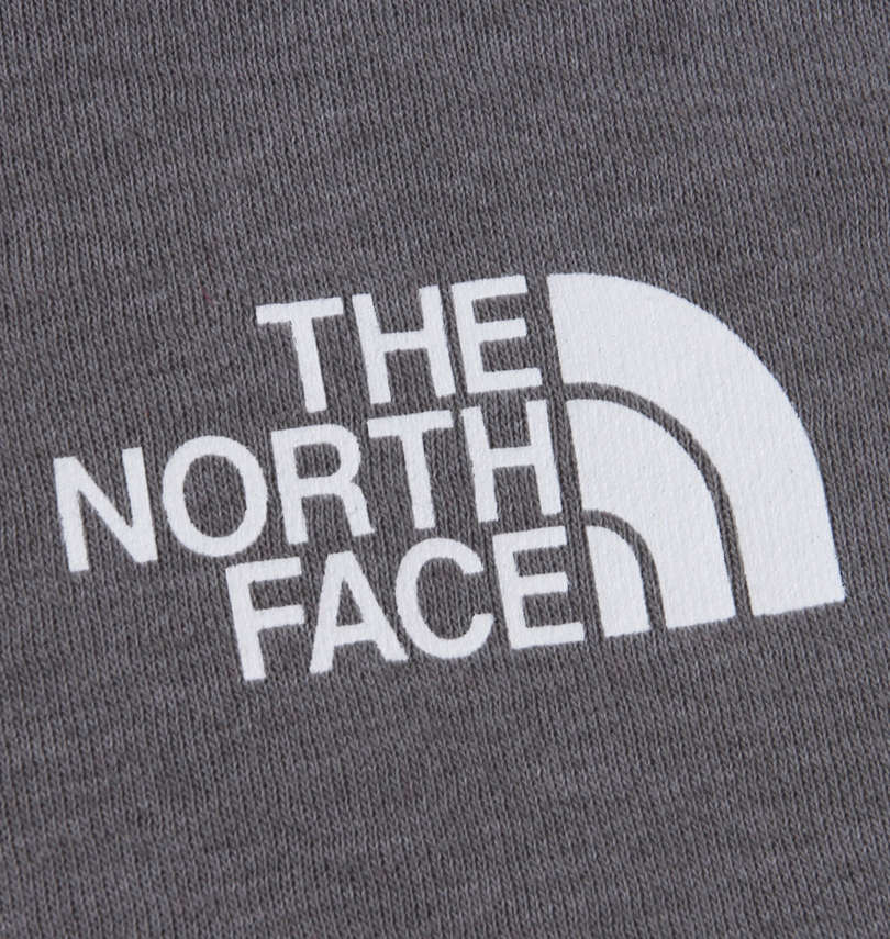 大きいサイズ メンズ THE NORTH FACE (ザ・ノース・フェイス) バックボックスロゴプルパーカー
                        胸プリント