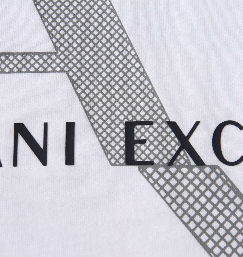 大きいサイズ メンズ ARMANI EXCHANGE (アルマーニエクスチェンジ) Tシャツ
                        プリント拡大