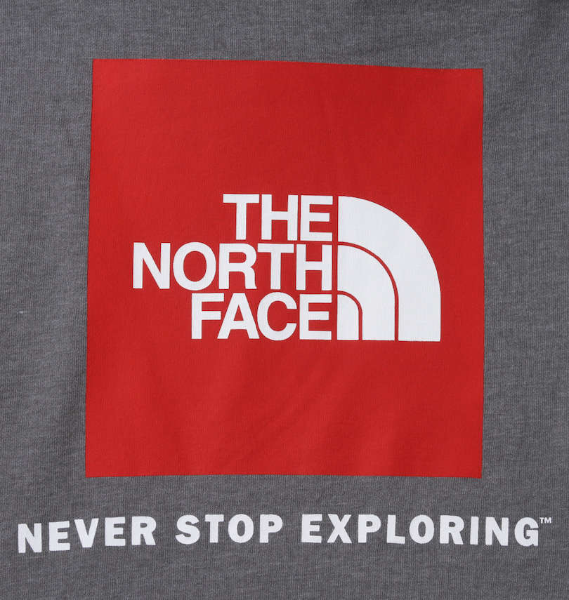 大きいサイズ メンズ THE NORTH FACE (ザ・ノース・フェイス) バックボックスロゴプルパーカー
                        
