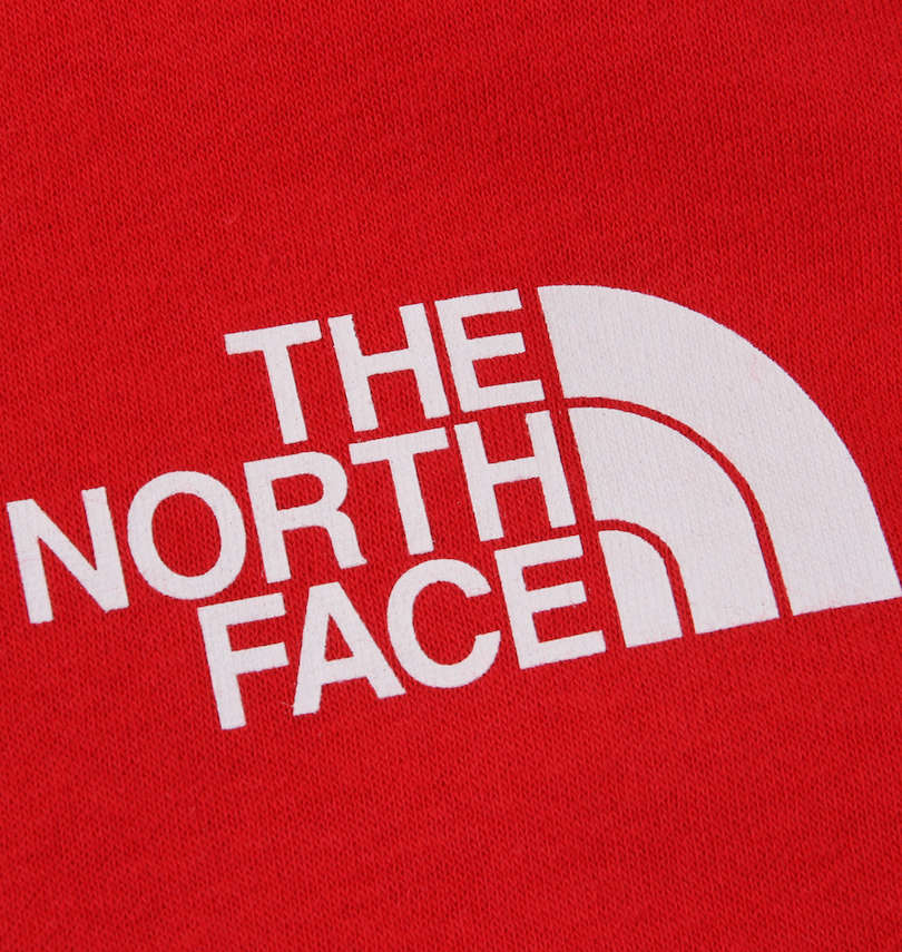 大きいサイズ メンズ THE NORTH FACE (ザ・ノース・フェイス) バックボックスロゴプルパーカー
                        胸プリント