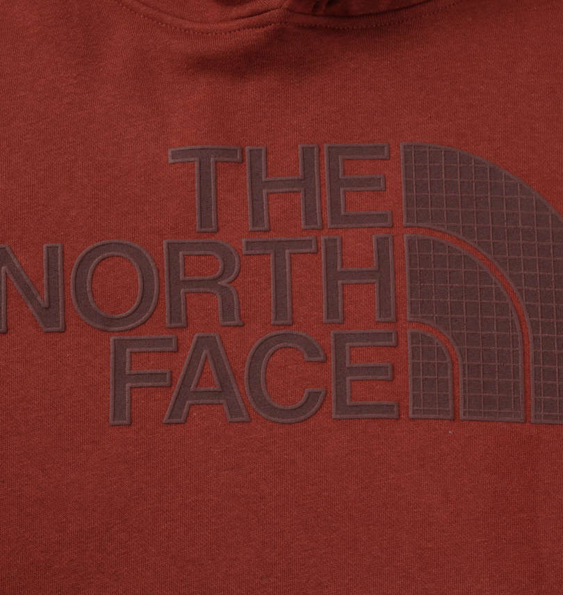 大きいサイズ メンズ THE NORTH FACE (ザ・ノース・フェイス) プルパーカー
                        