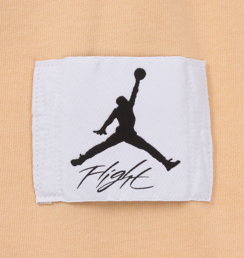 大きいサイズ メンズ JORDAN (エアジョーダン) 半袖Tシャツ
                        ワッペン