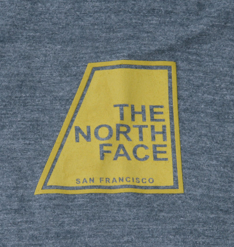 大きいサイズ メンズ THE NORTH FACE (ザ・ノース・フェイス) 長袖Tシャツ
                        プリント拡大