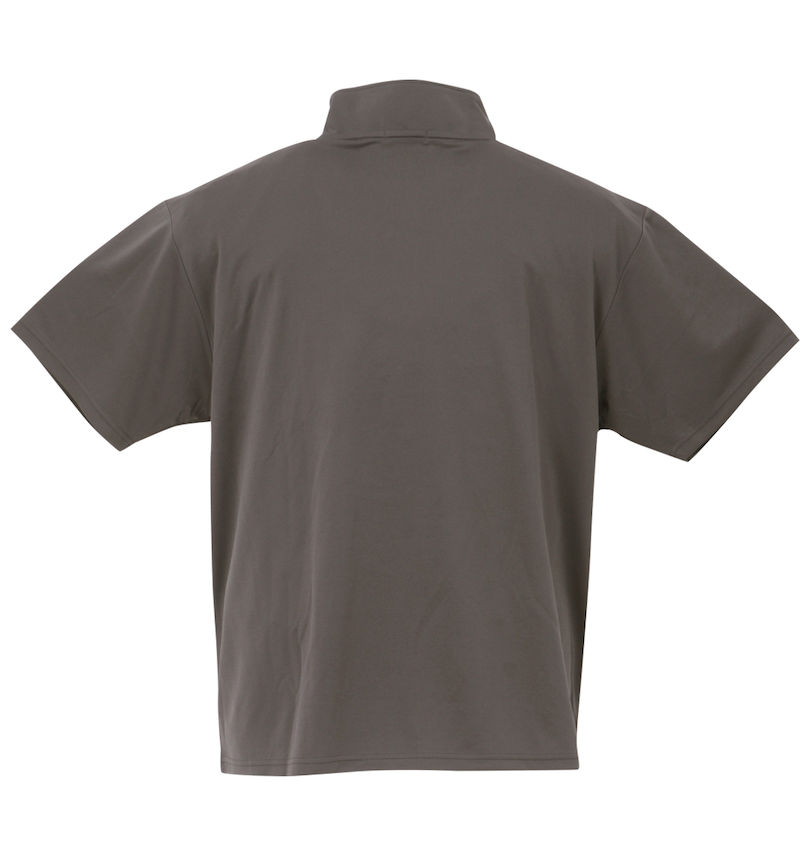 大きいサイズ メンズ LE COQ SPORTIF (ルコックスポルティフ) エコペットハーフジップ半袖シャツ
                        バックスタイル