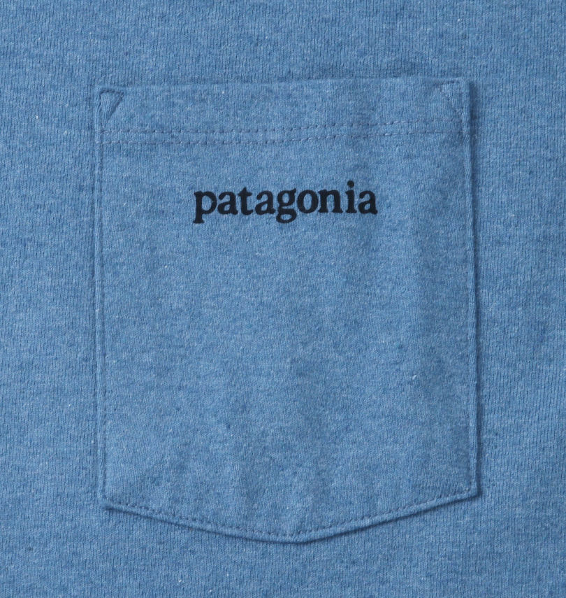 大きいサイズ メンズ PATAGONIA (パタゴニア) 半袖Tシャツ
                        胸ポケット