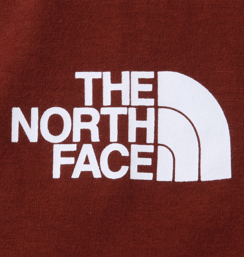 大きいサイズ メンズ THE NORTH FACE (ザ・ノース・フェイス) 長袖Tシャツ
                        フロントプリント