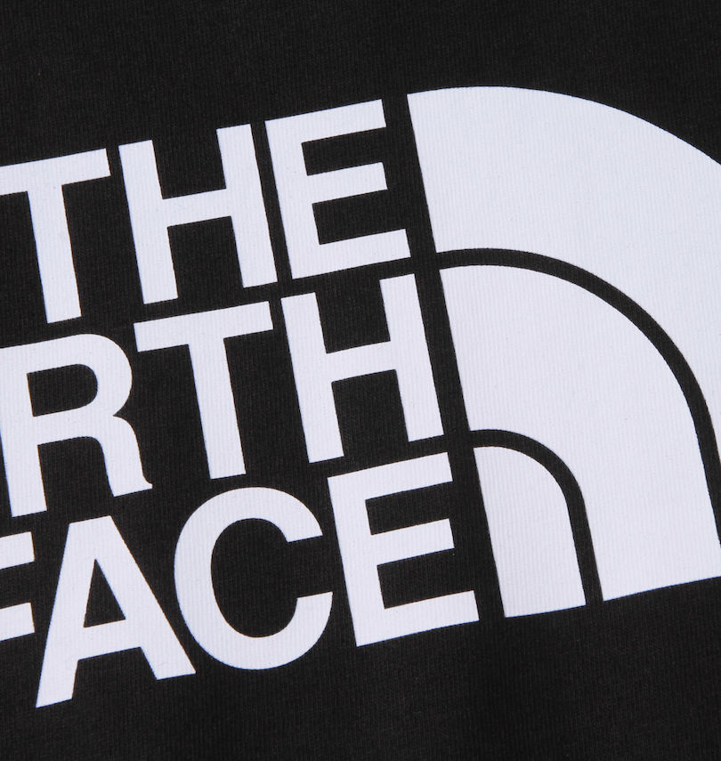 大きいサイズ メンズ THE NORTH FACE (ザ・ノース・フェイス) 半袖Tシャツ
                        プリント拡大