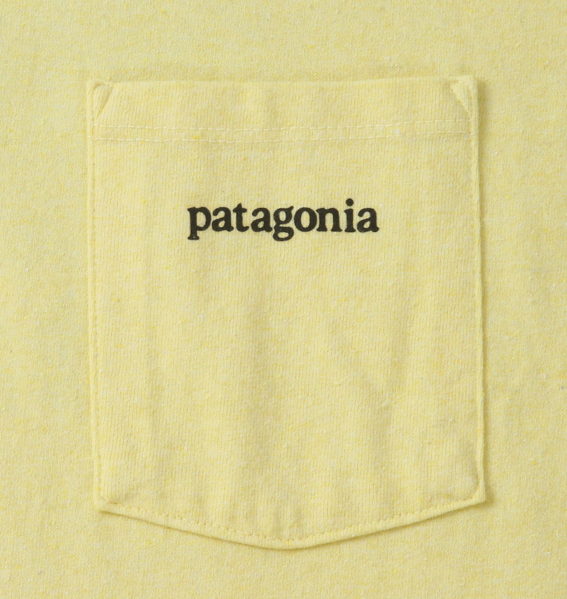 大きいサイズ メンズ PATAGONIA (パタゴニア) 半袖Tシャツ
                        胸ポケット