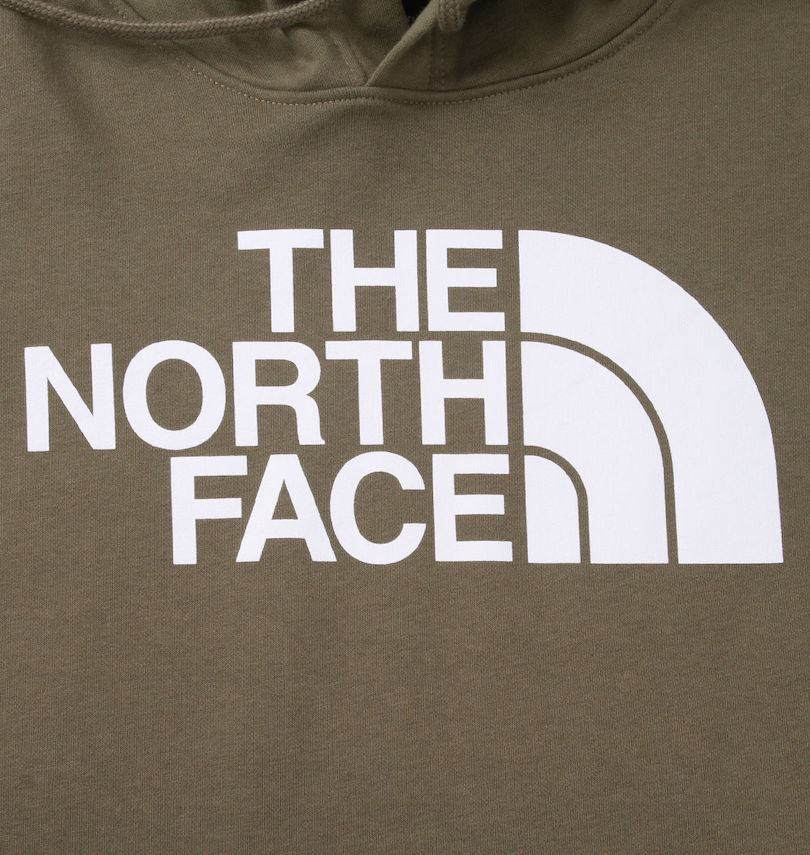 大きいサイズ メンズ THE NORTH FACE (ザ・ノース・フェイス) プルパーカー
                        