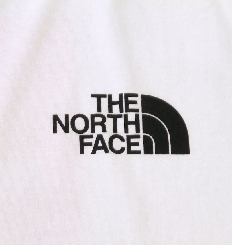 大きいサイズ メンズ THE NORTH FACE (ザ・ノース・フェイス) 半袖Tシャツ
                        左胸プリント