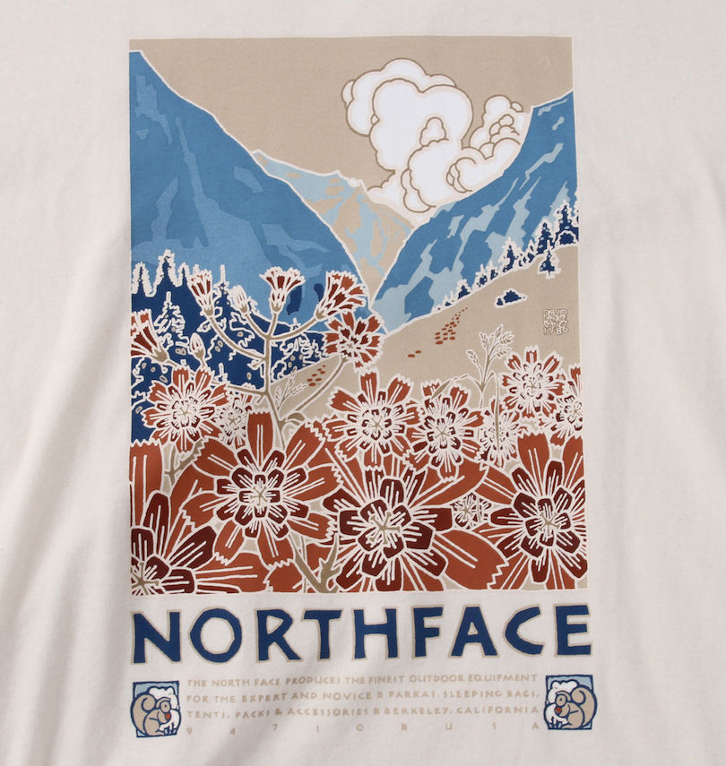 大きいサイズ メンズ THE NORTH FACE (ザ・ノース・フェイス) 半袖Tシャツ
                        