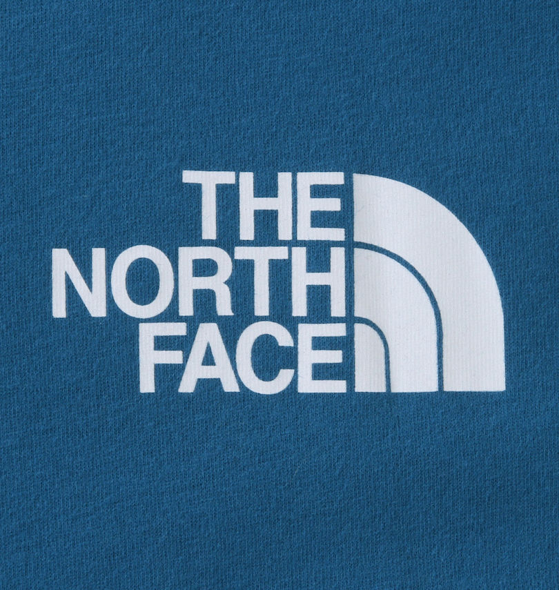 大きいサイズ メンズ THE NORTH FACE (ザ・ノース・フェイス) 半袖Tシャツ
                        