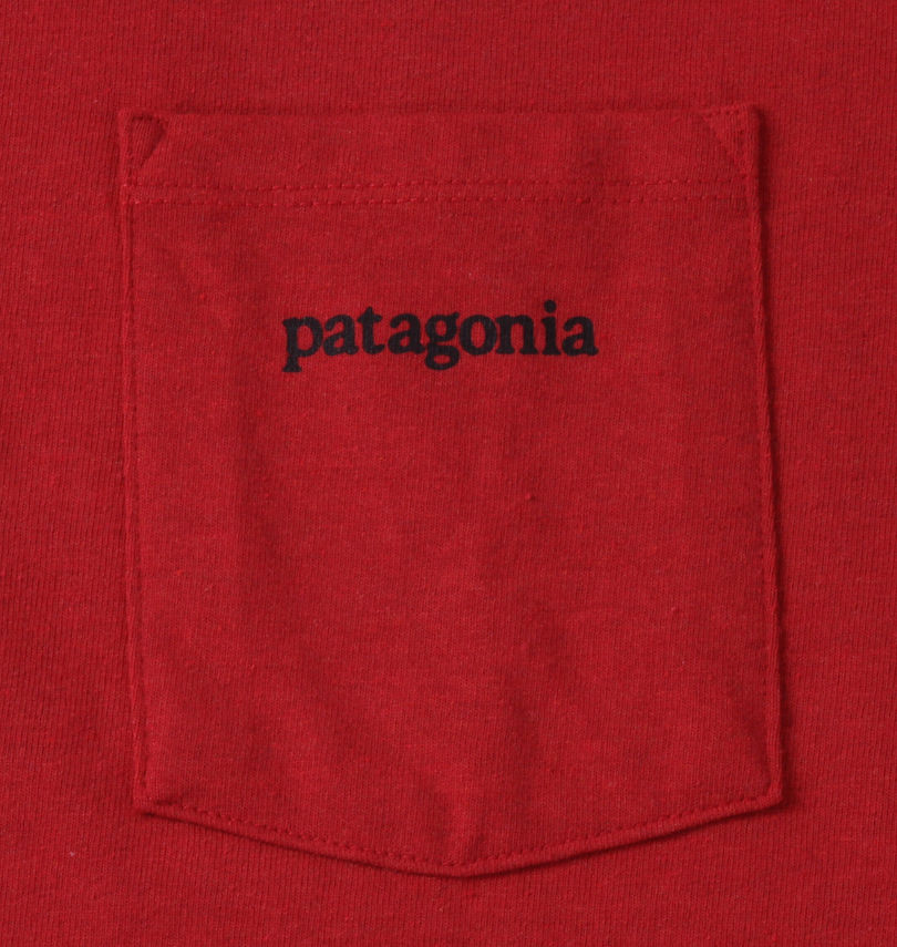 大きいサイズ メンズ PATAGONIA (パタゴニア) 半袖Tシャツ
                        ポケット