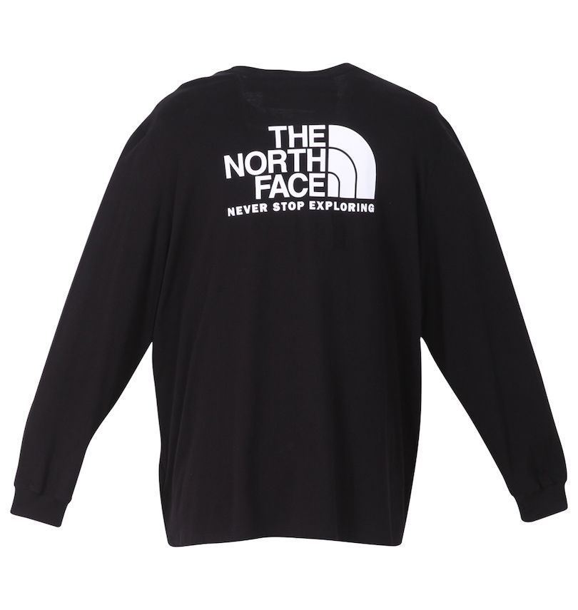大きいサイズ メンズ THE NORTH FACE (ザ・ノース・フェイス) 長袖Tシャツ
                        バックスタイル