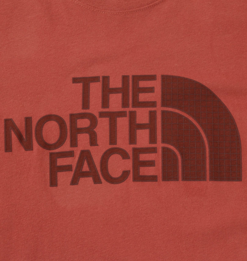 大きいサイズ メンズ THE NORTH FACE (ザ・ノース・フェイス) 半袖Tシャツ
                        プリント