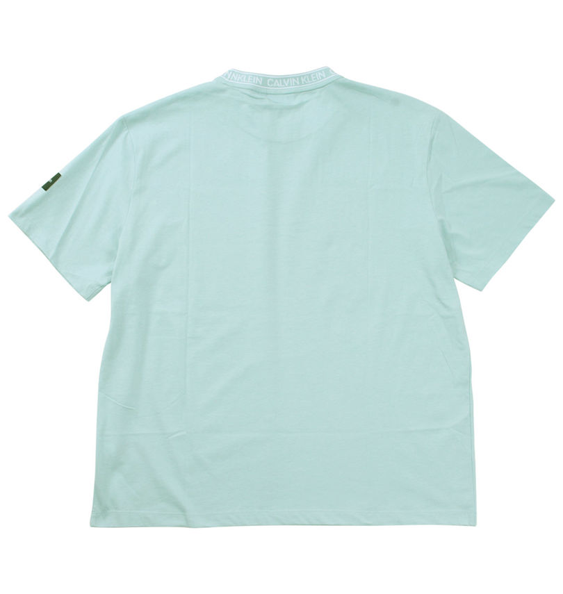 大きいサイズ メンズ CALVIN KLEIN (カルバンクライン) 半袖Tシャツ
                        バックスタイル