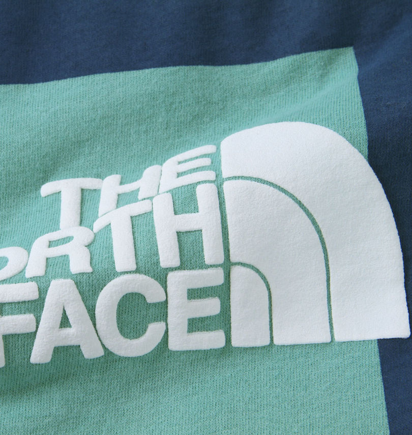 大きいサイズ メンズ THE NORTH FACE (ザ・ノース・フェイス) 半袖Tシャツ
                        プリント拡大